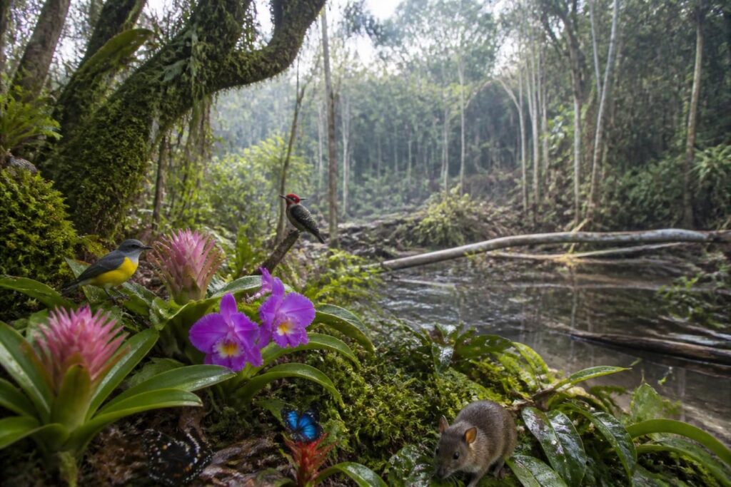 découvrez l'importance de protéger les habitats menacés et les communautés écologiques en danger pour préserver la biodiversité et l'équilibre naturel.